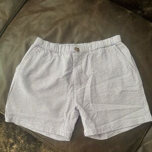 Chubbies purple seersucker shorts